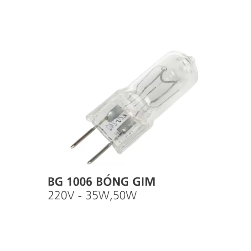 Bóng ghim 220V BG1006